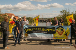 Weiterlesen: Neckar Castorfrei!